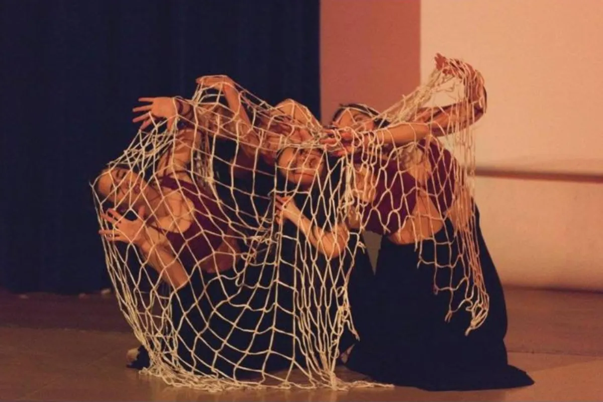 img-web-2